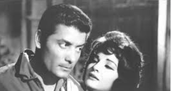 نور في اللص والكلاب