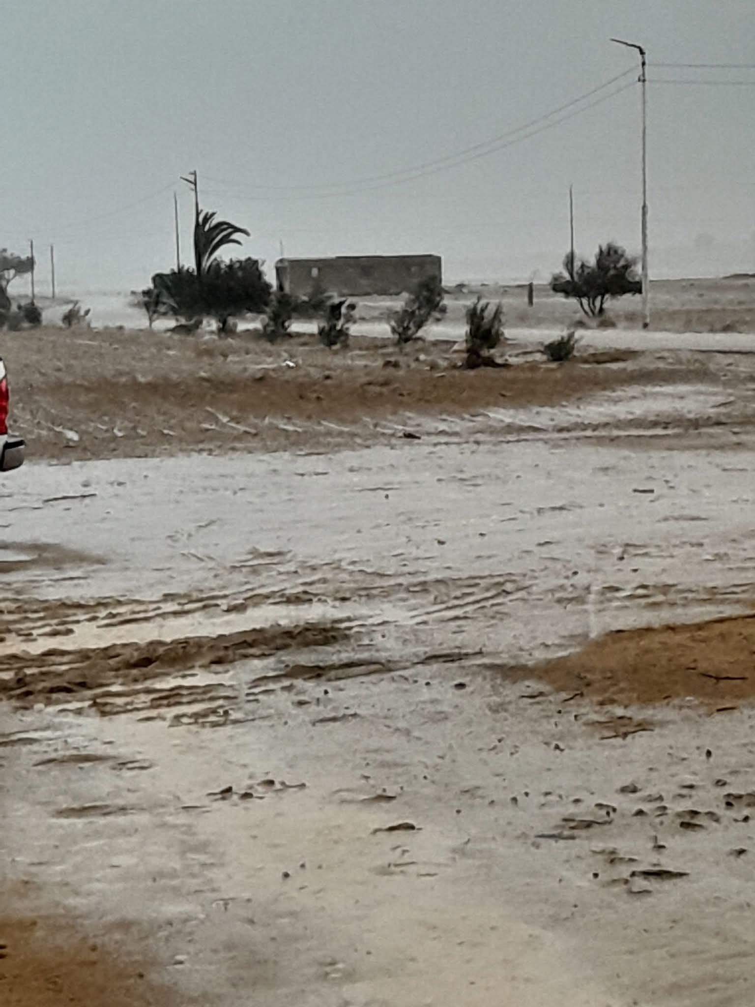 WhatsApp Image 2025-12-17 at 12.40.28 PM (1)