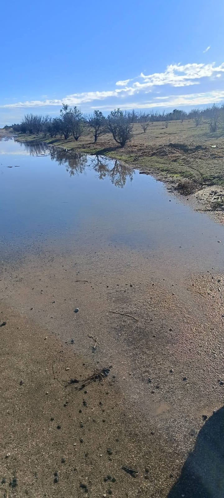 WhatsApp Image 2025-12-17 at 3.07.21 PM (1)