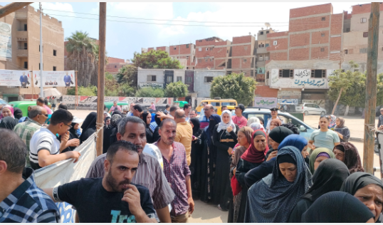 زفتي2