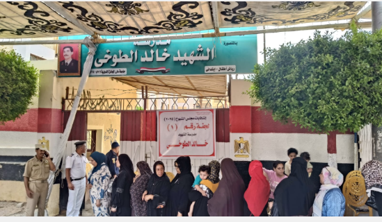 الدقهلية2