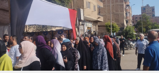 القليوبية211