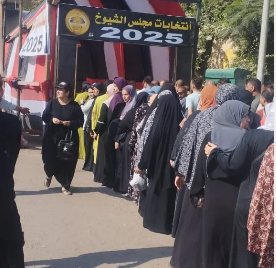 قليوبية22