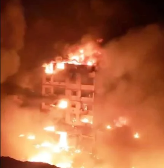 لقطة الشاشة 2026-01-29 105116