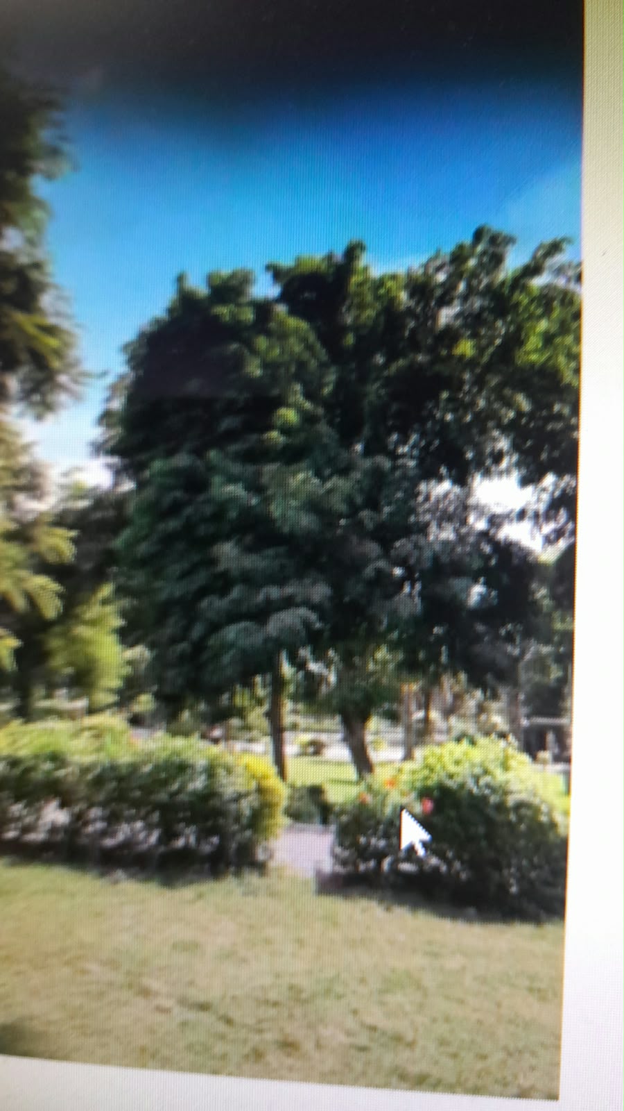 014f22cf-82f9-4c04-931a-45fdf11be86f