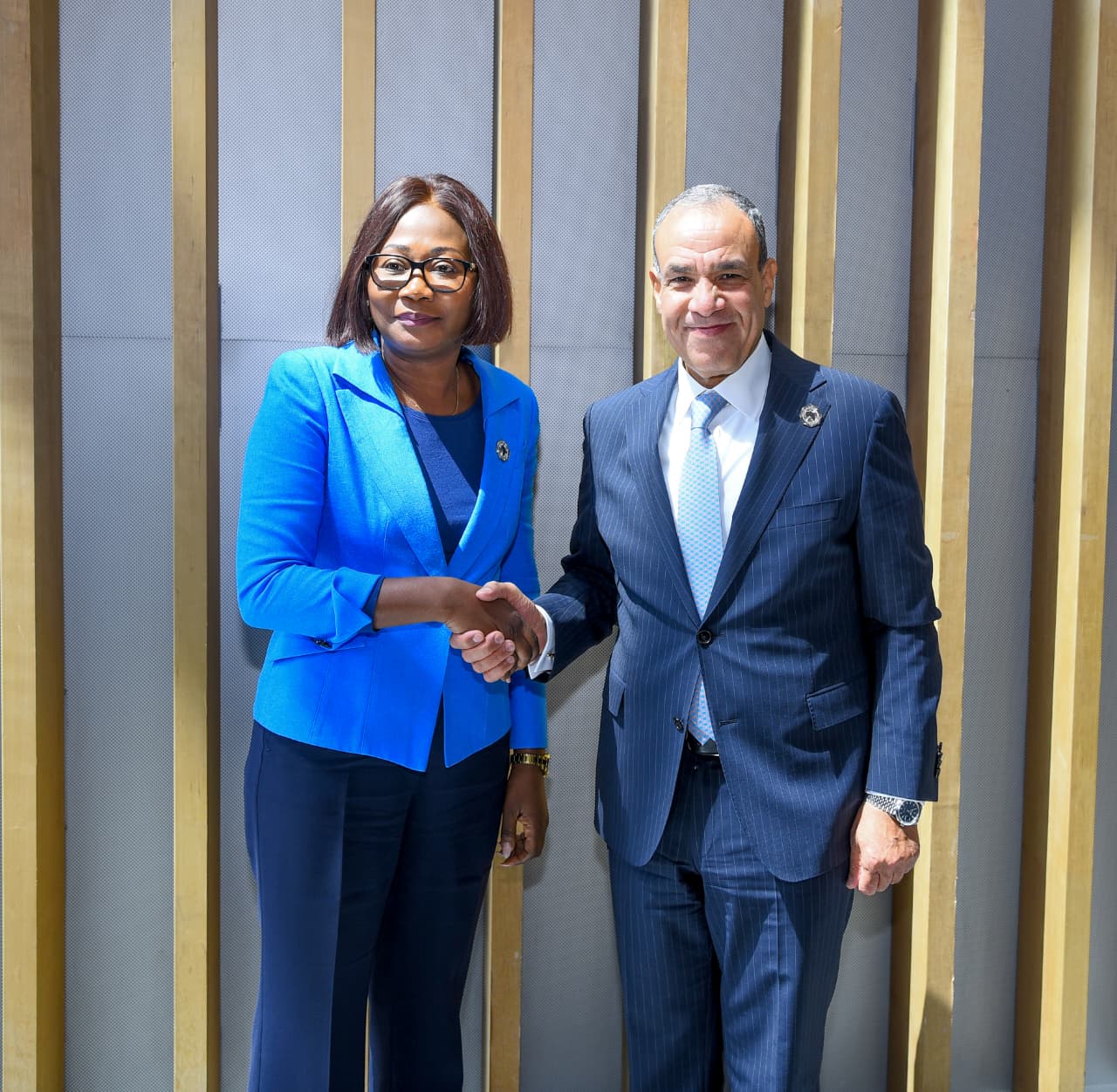 بدر عبد العاطي وسيلفي بايبو تيمون، وزيرة خارجية أفريقيا الوسطى بدر عبد العاطي وسيلفي بايبو تيمون، وزيرة خارجية أفريقيا الوسطى