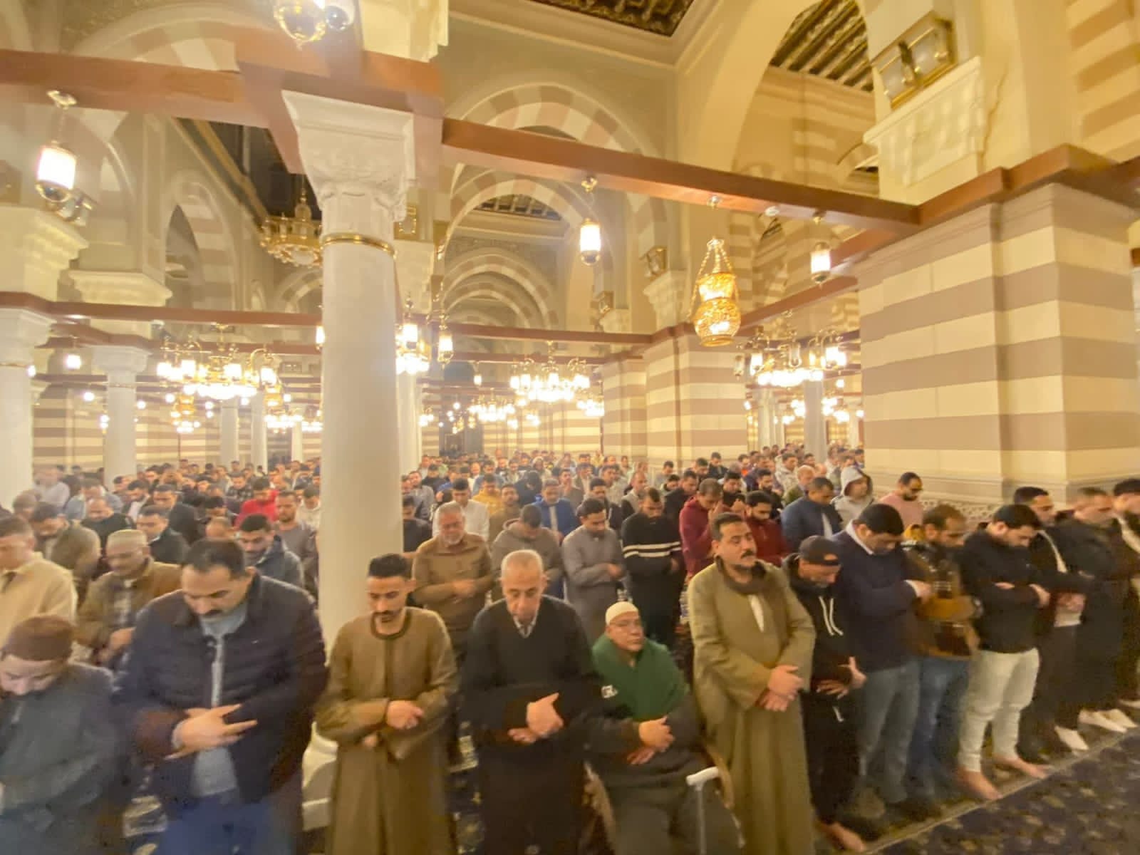 446c82d3-e775-44af-b343-36dc3cc5ce63