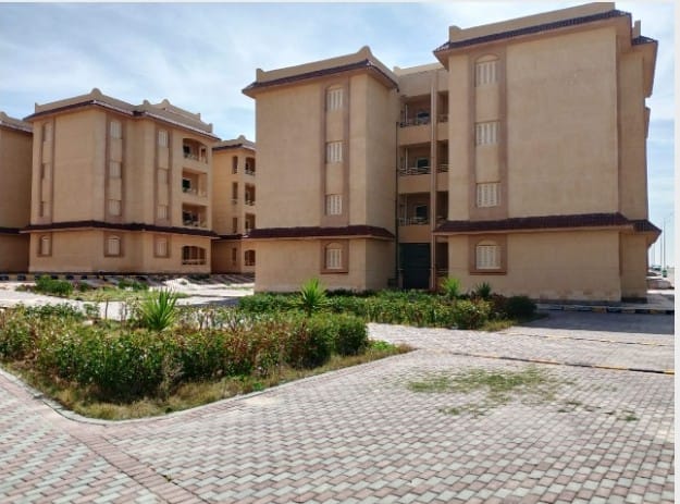 WhatsApp Image 2026-02-03 at 5.08.27 PM