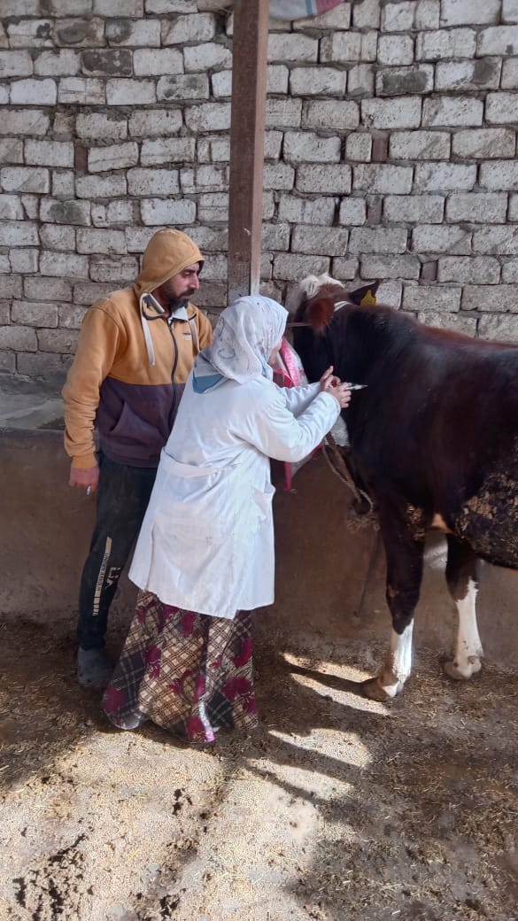 43c59095-939d-48dd-866c-a2cdf0debccb