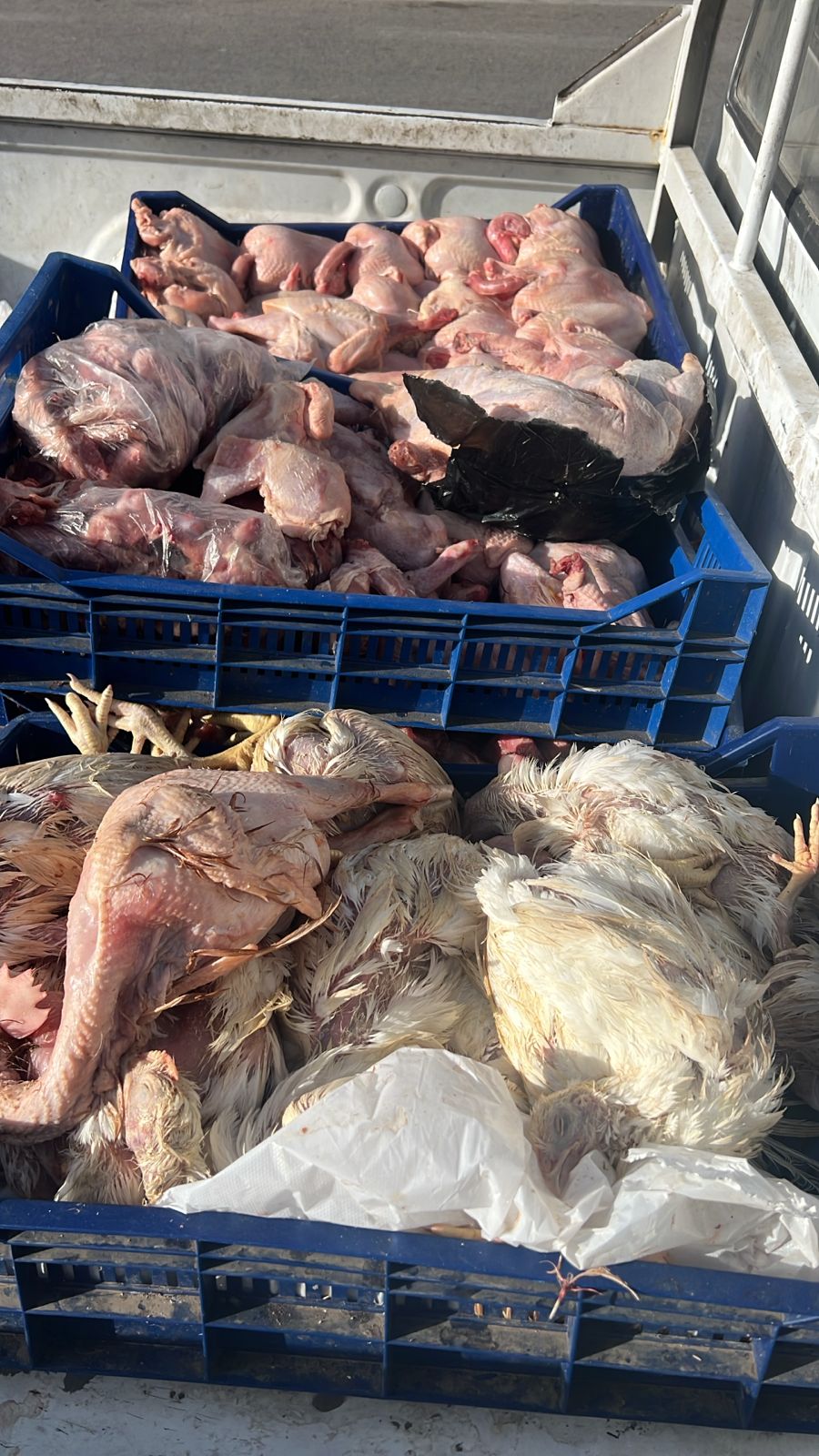 33afe7db-3343-470d-b001-1ce89b858651