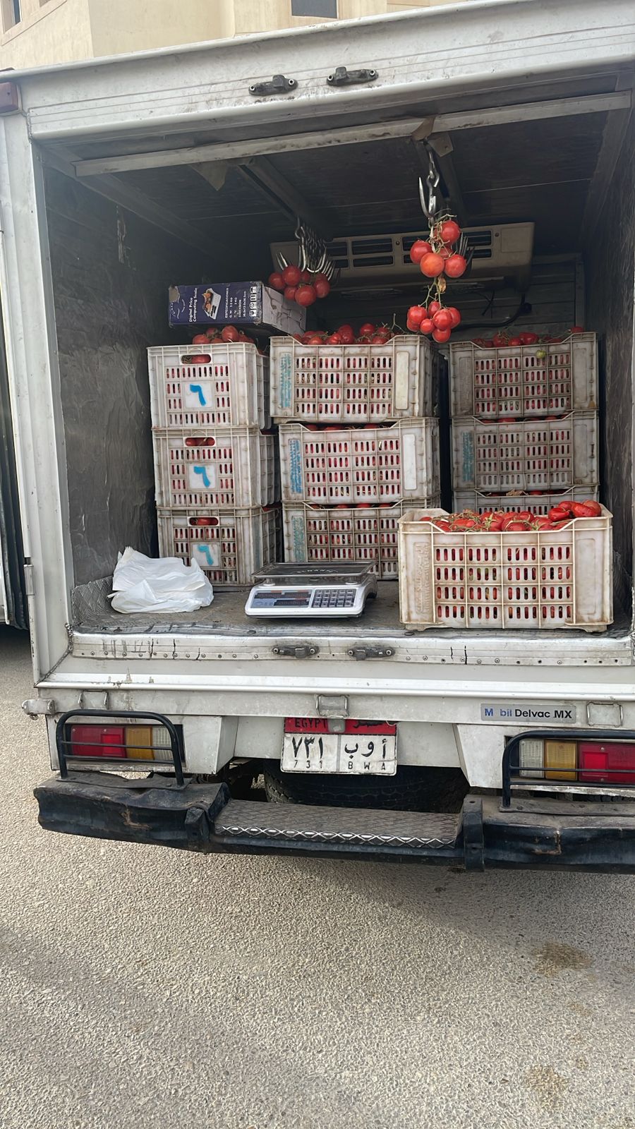 WhatsApp Image 2026-03-14 at 19.27.35