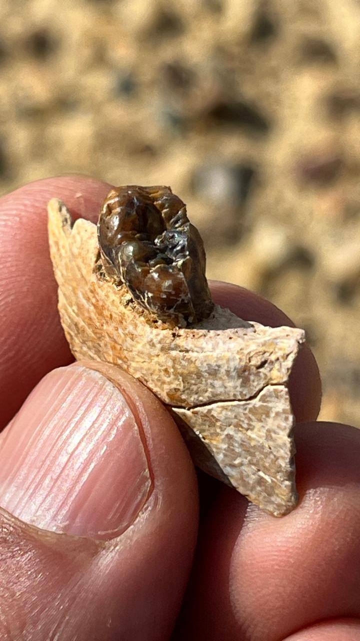 656845509_1480798753402954_4899317147627675813_n