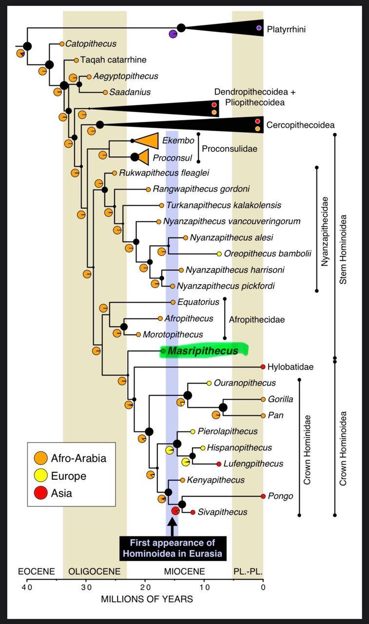 656845514_1480798883402941_1786095779787874106_n