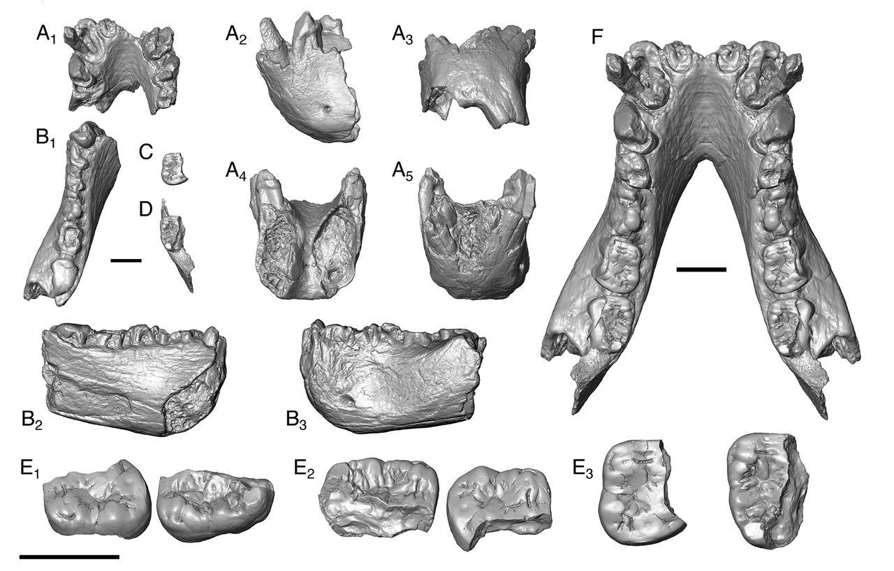 658156262_1480798853402944_9108591381767061896_n