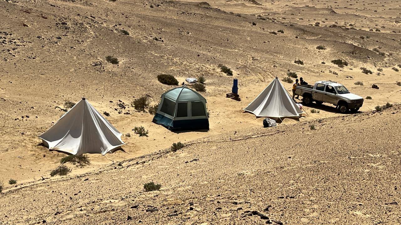 658151726_1480798820069614_3419278104931385871_n