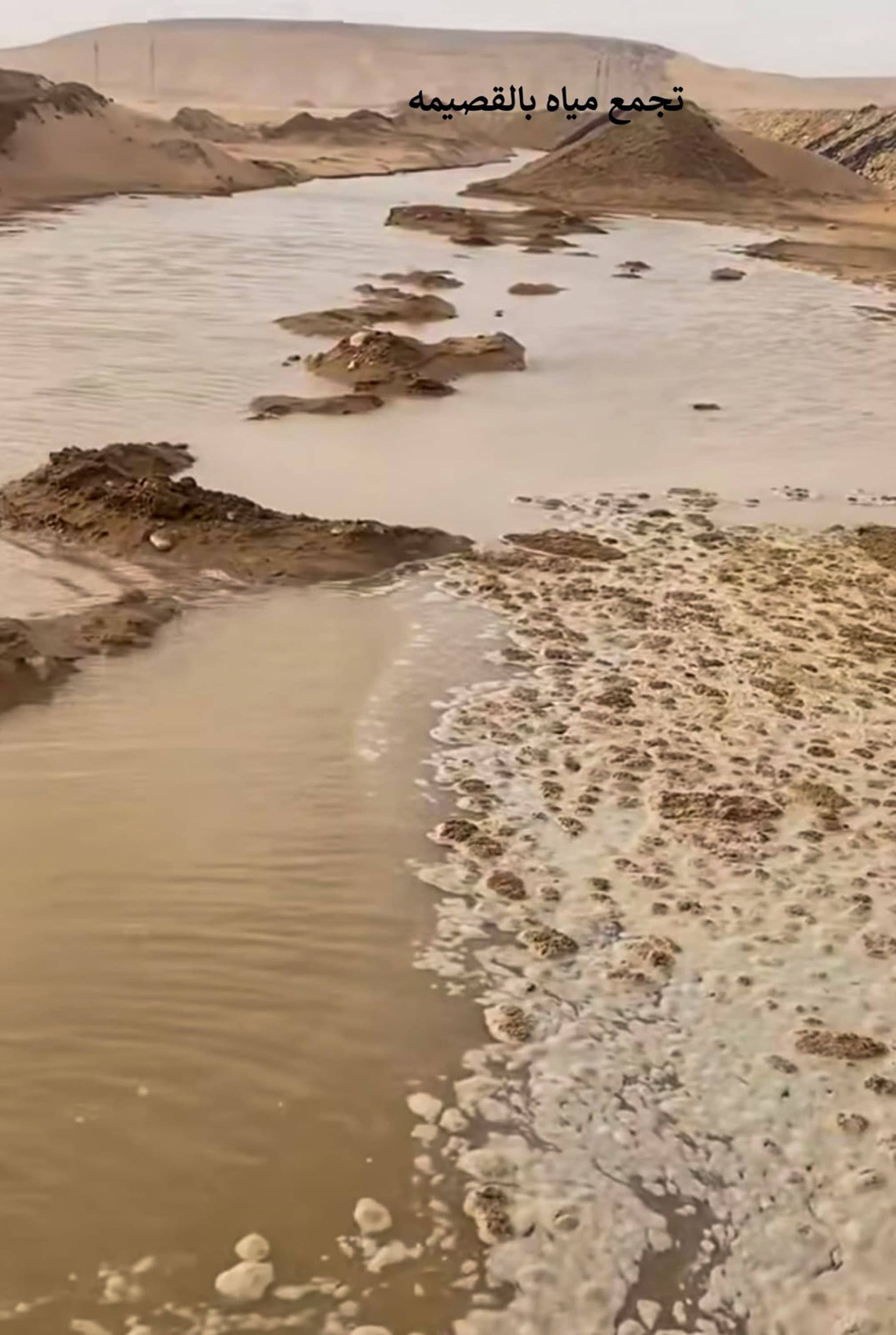 656726536_1517384177098664_8902230972302646314_n