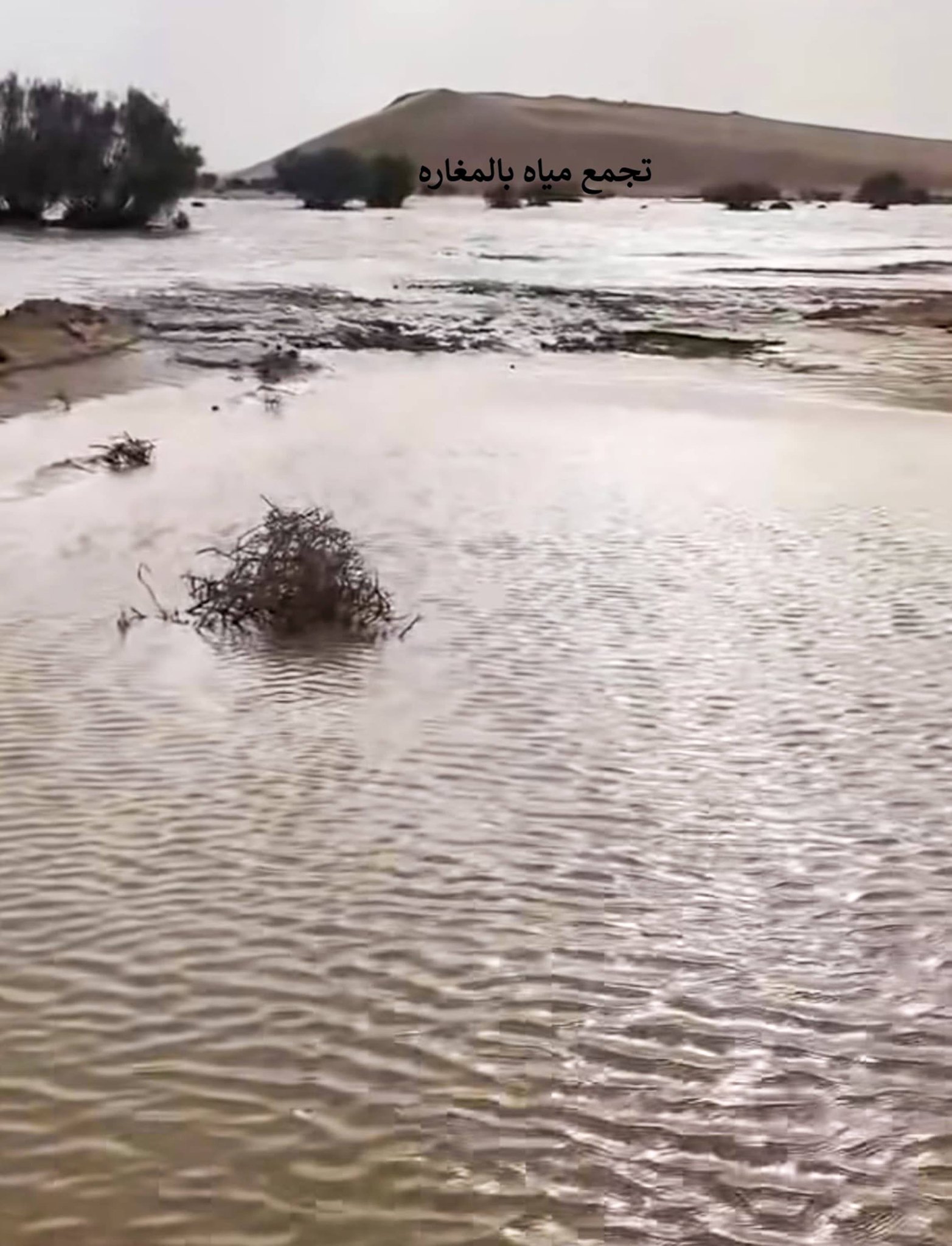 656933073_1517384100432005_569354297538969095_n