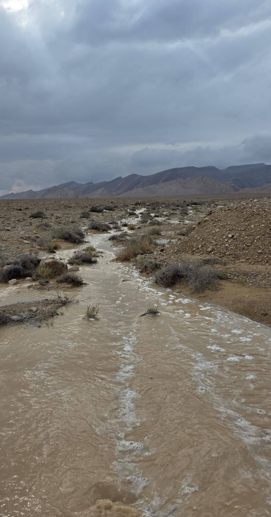 658170971_1517384257098656_8543724006527334763_n