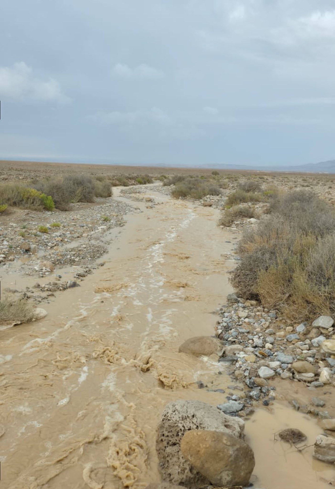 656412783_1517384327098649_8487923262721785933_n