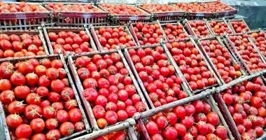 098ead09-5d51-4cbe-b976-dcc90369c0e2