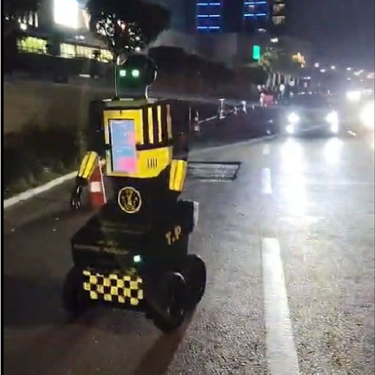 ربرورت