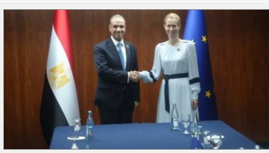 وزير الخارجيه مع المفوضيه 