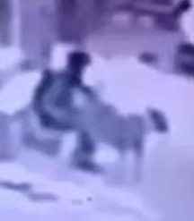 لقطة الشاشة 2026-07-28 145551