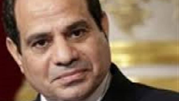 الدستورى الحر : عام السيسى انجازات من اول يوم لأخر يوم   