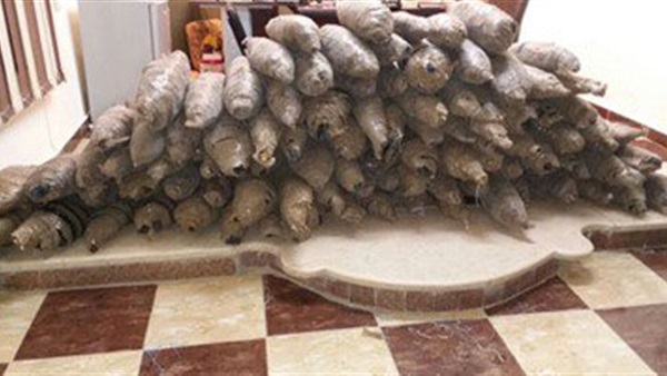 سقوط عاطل بحوزته 15كيلو بانجو و2000 قرص مخدر فى كوم أمبو سقوط عاطل بحوزته 15كيلو بانجو و2000 قرص مخدر فى كوم أمبو