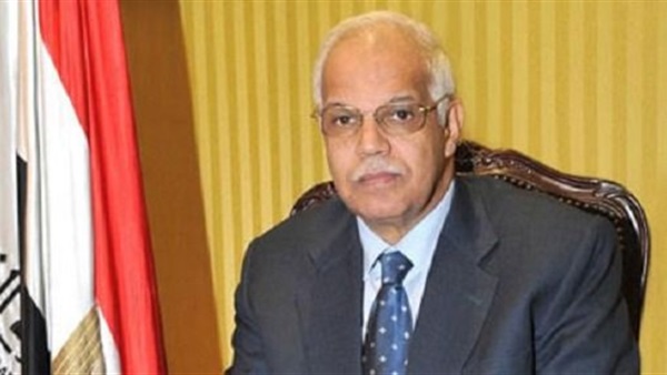 السعيد: المحافظة تقوم بحملة تجميل لمحور المشير السعيد: المحافظة تقوم بحملة تجميل لمحور المشير
