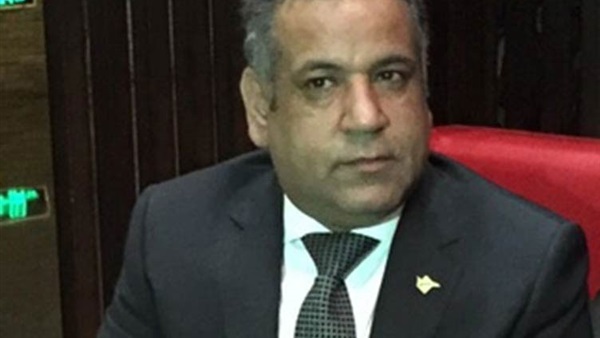 الشرقاوي: التنمية في قناة السويس يحتاج توازي عسكري واقتصادي الشرقاوي: التنمية في قناة السويس يحتاج توازي عسكري واقتصادي
