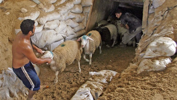 بزنس الأنفاق بغزة..12ألف فلسطيني  يعملون بها و140 مليون  دولار ميزانية الحفر سنويا