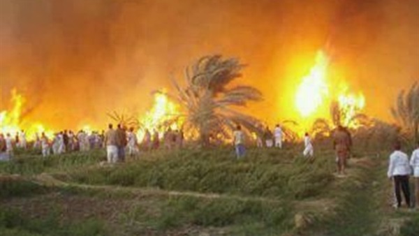 الحماية المدنية تكثف جهودها للسيطرة على حريق مزارع النخيل بالوادى  