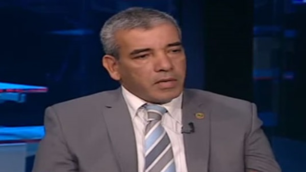 «شراقي»: زيارة الرئيس لسنغافورة «قرار موفق» 