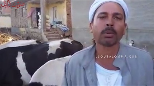 بالفيديو.. فشل زراعة القطن فى دمياط يكشف المؤامرة على الذهب الأبيض بالفيديو.. فشل زراعة القطن فى دمياط يكشف المؤامرة على الذهب الأبيض