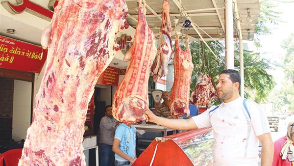 بالفيديو..المصريون في العيد: نعم للحوم رغم ارتفاع أسعارها بالفيديو..المصريون في العيد: نعم للحوم رغم ارتفاع أسعارها