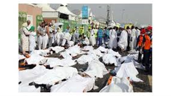 تشكيل اجتماع لـ 5 وزارات لحل مشكله مفقودي منى تشكيل اجتماع لـ 5 وزارات لحل مشكله مفقودي منى