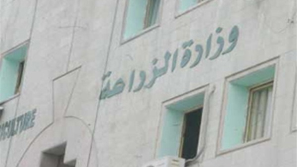 الزراعة: تم تصدير 345 طنًا من الخضر و383 طنًا من الفاكهة للخارج الزراعة: تم تصدير 345 طنًا من الخضر و383 طنًا من الفاكهة للخارج
