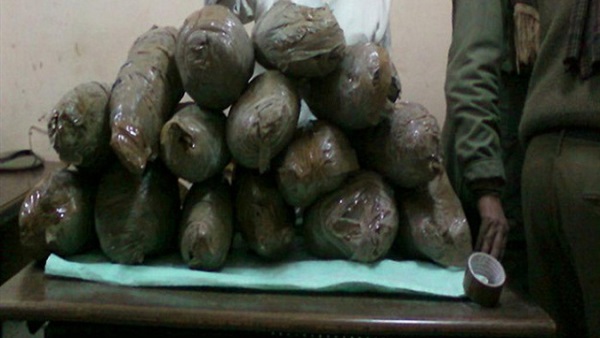 ضبط كيلو ونصف بانجو بحوزة تاجر مخدرات بقنا ضبط كيلو ونصف بانجو بحوزة تاجر مخدرات بقنا