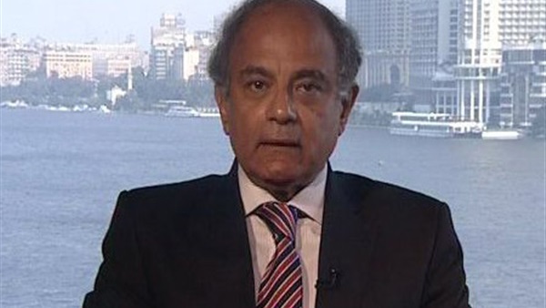"الهريدي": مصر صوت العالم أجمع "الهريدي": مصر صوت العالم أجمع