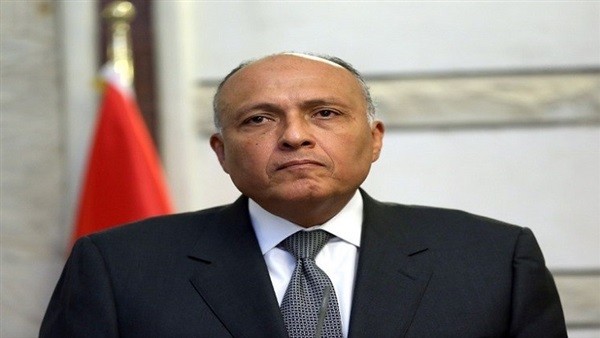 الخارجية في بيان شديد اللهجة:  مصر دولة قانون ودستورها يحمي الحريات