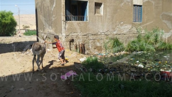  بالفيديو والصور.. مساكن الزرابي بأسيوط تسبح في مياه المجاري  