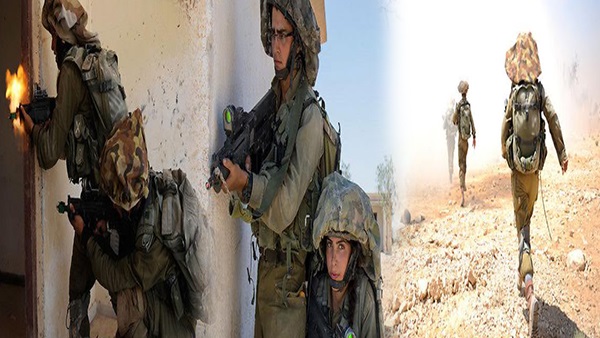 الجيش الإسرائيلي يبدأ في تدريبات  لمواجهة أنصار بيت المقدس  الجيش الإسرائيلي يبدأ في تدريبات  لمواجهة أنصار بيت المقدس