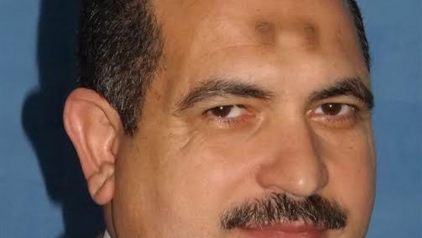 خبير اقتصادي: تخفيض سعر الجنيه أمام الدولار محاولة لإغراء المستثمرين خبير اقتصادي: تخفيض سعر الجنيه أمام الدولار محاولة لإغراء المستثمرين