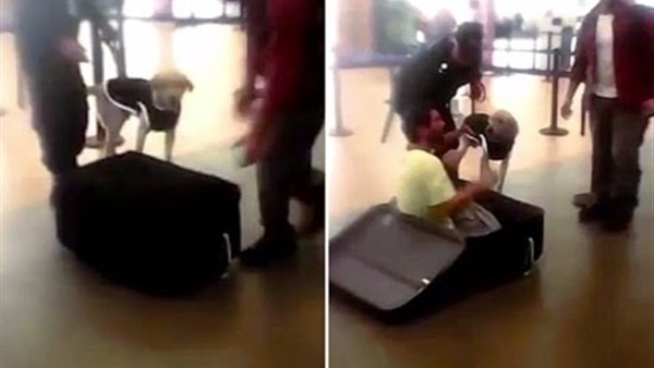 بالفيديو: رجل يحاول الهروب داخل حقيبة سفر بالفيديو: رجل يحاول الهروب داخل حقيبة سفر