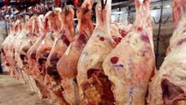 ضبط 2 طن لحوم غير صالحة للاستهلاك الآدمي بالدقهلية ضبط 2 طن لحوم غير صالحة للاستهلاك الآدمي بالدقهلية