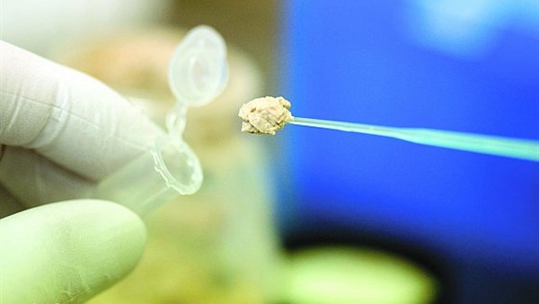 اختبار جديد يكشف الميول الجنسية للرجال   