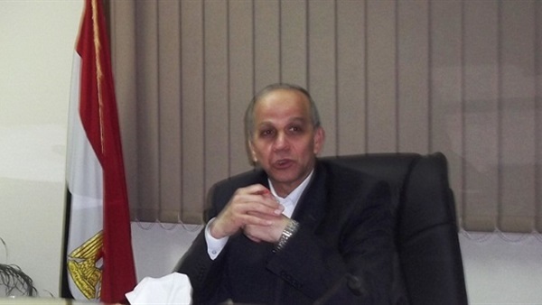 «الوادى الجديد» تنهى إستعداداتها للإحتفال بذكرى 25 يناير «الوادى الجديد» تنهى إستعداداتها للإحتفال بذكرى 25 يناير