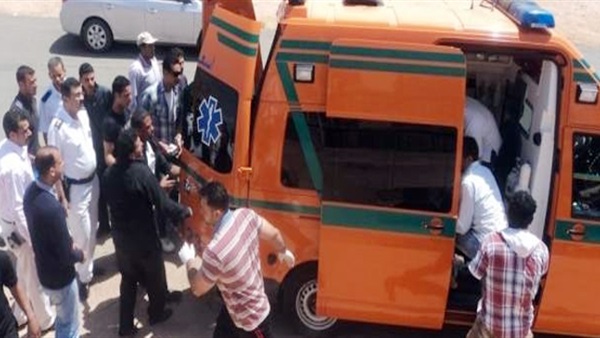 مصرع زوجة على يد سائق بالدقهلية مصرع زوجة على يد سائق بالدقهلية