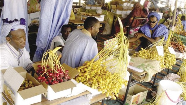 لأول مرة فى مصر.. مهرجان للبلح بسيوة  